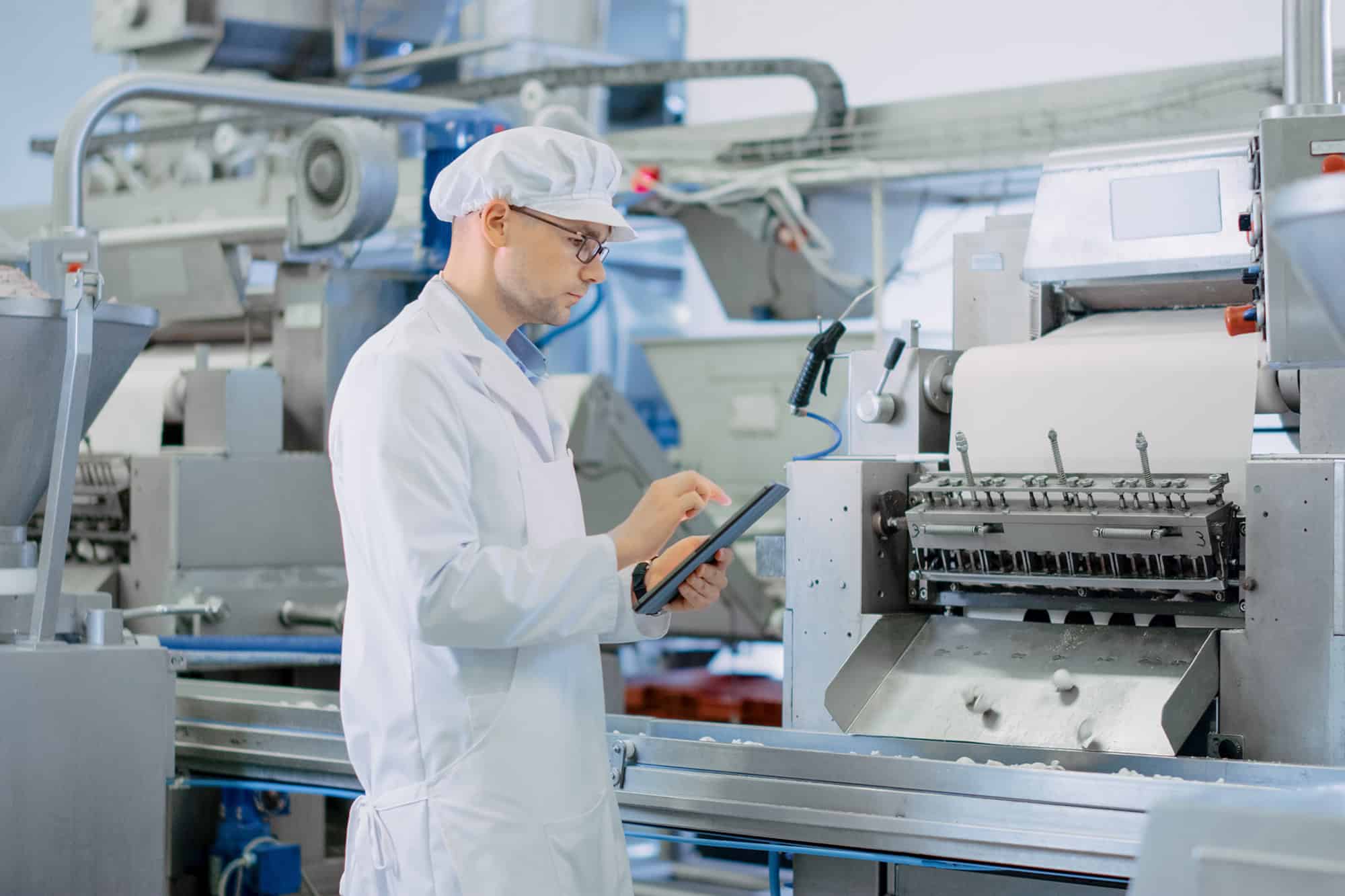 Ludan engineering industria agro & alimentară